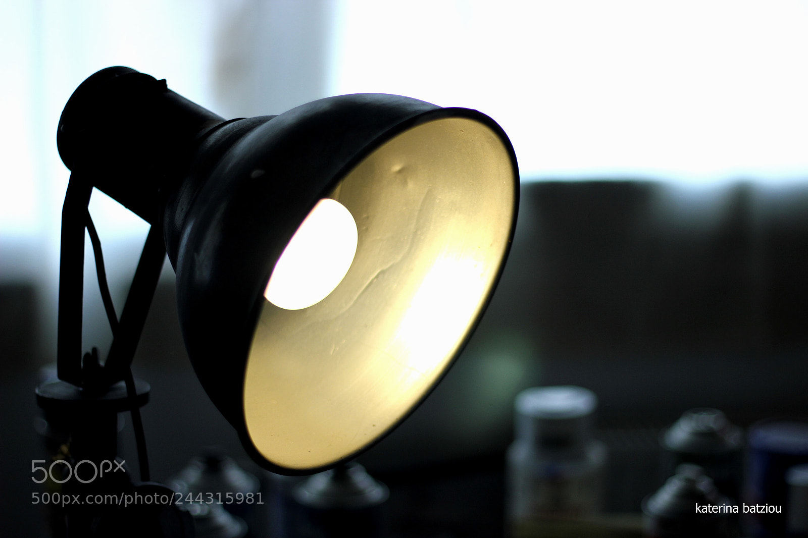 Canon EOS 550D (EOS Rebel T2i / EOS Kiss X4) sample photo. The artist's light photography