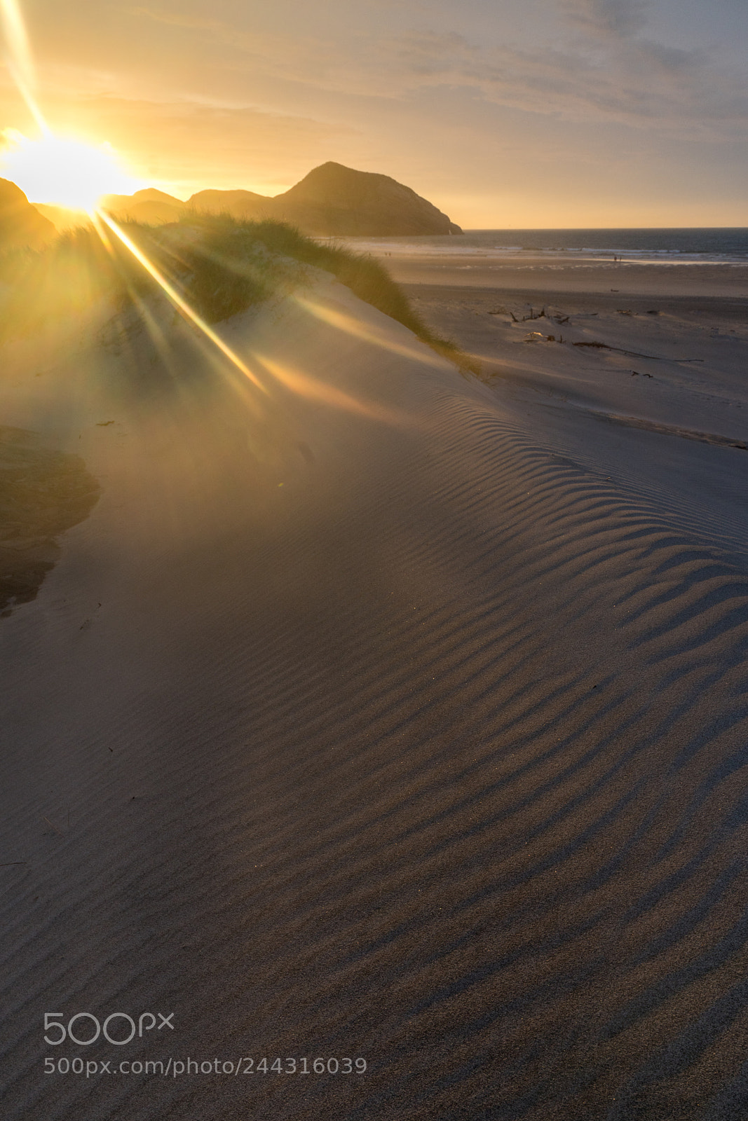 Sony a99 II sample photo. Sun rays photography