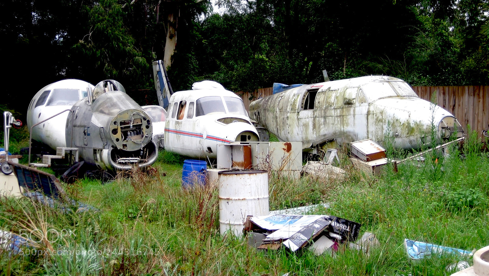 Canon DIGITAL IXUS 960 IS sample photo. Flying paradise photography
