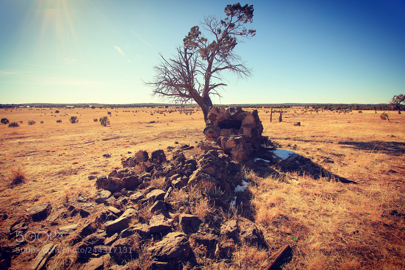 Canon EOS 550D (EOS Rebel T2i / EOS Kiss X4) sample photo. The old chimney. photography