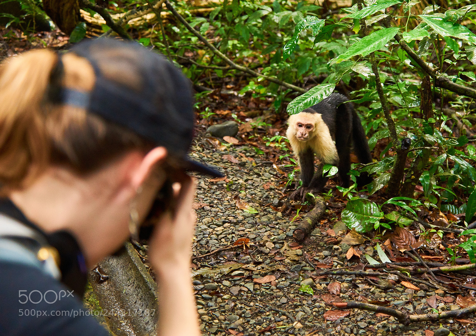 Sony SLT-A77 sample photo. Costa rica costa rica photography