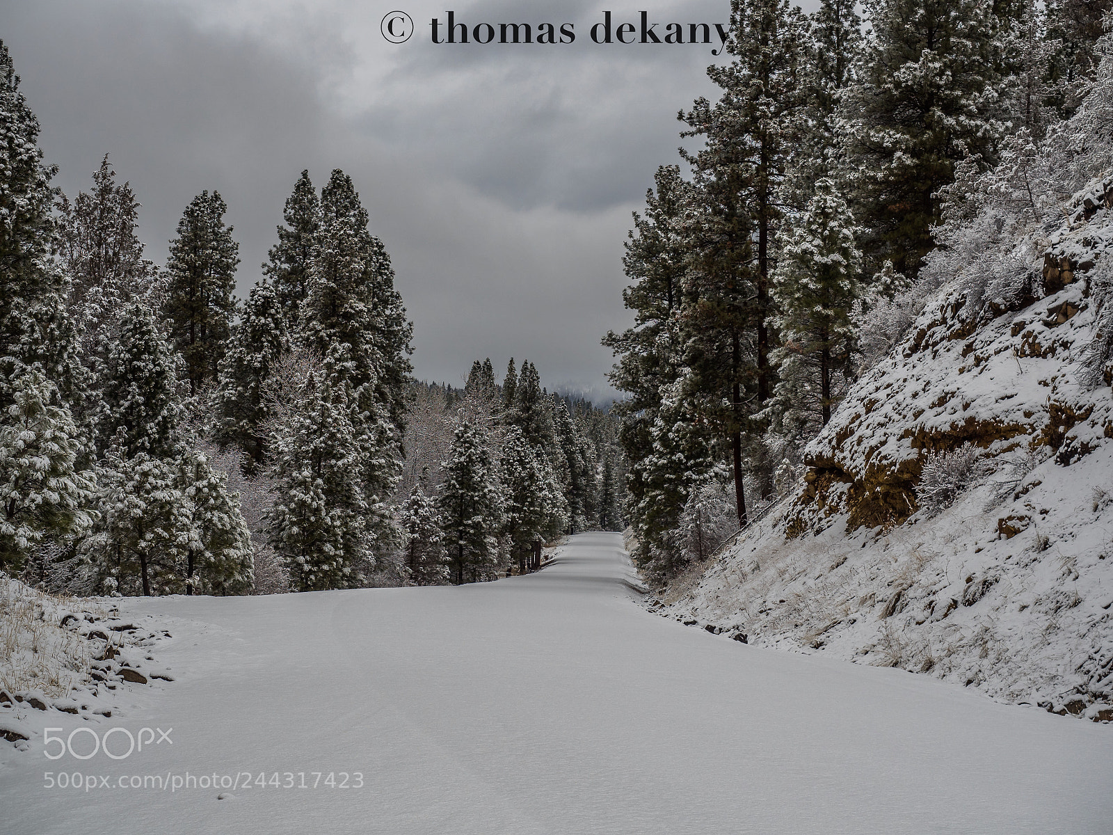 Olympus OM-D E-M5 II sample photo. The road to nowhere photography