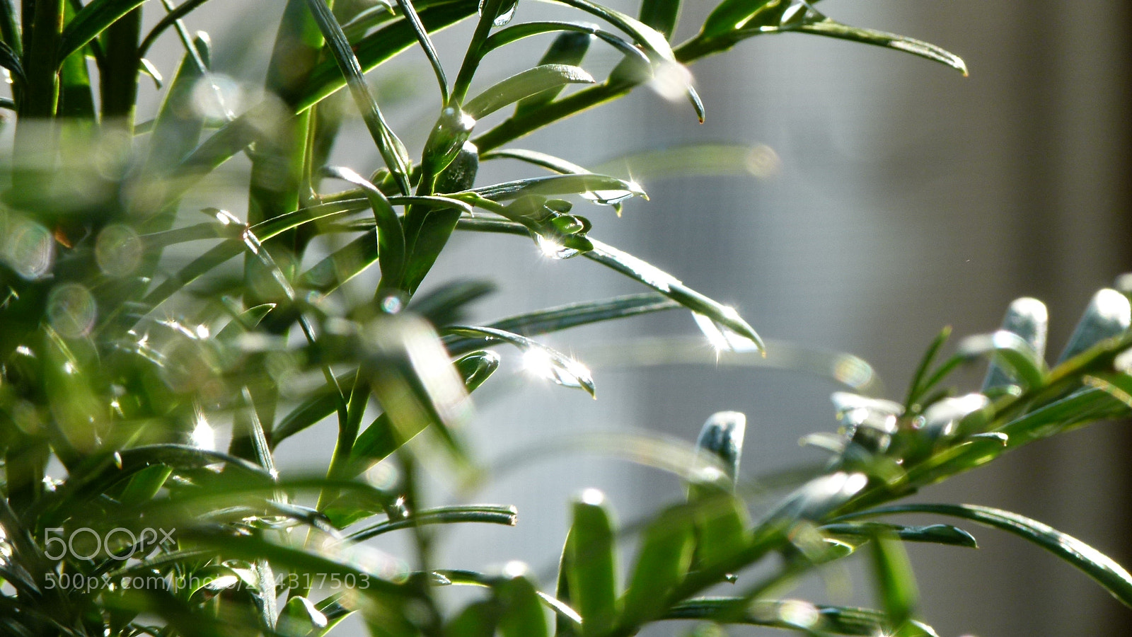 Leica V-Lux 2 sample photo. Untitled photography