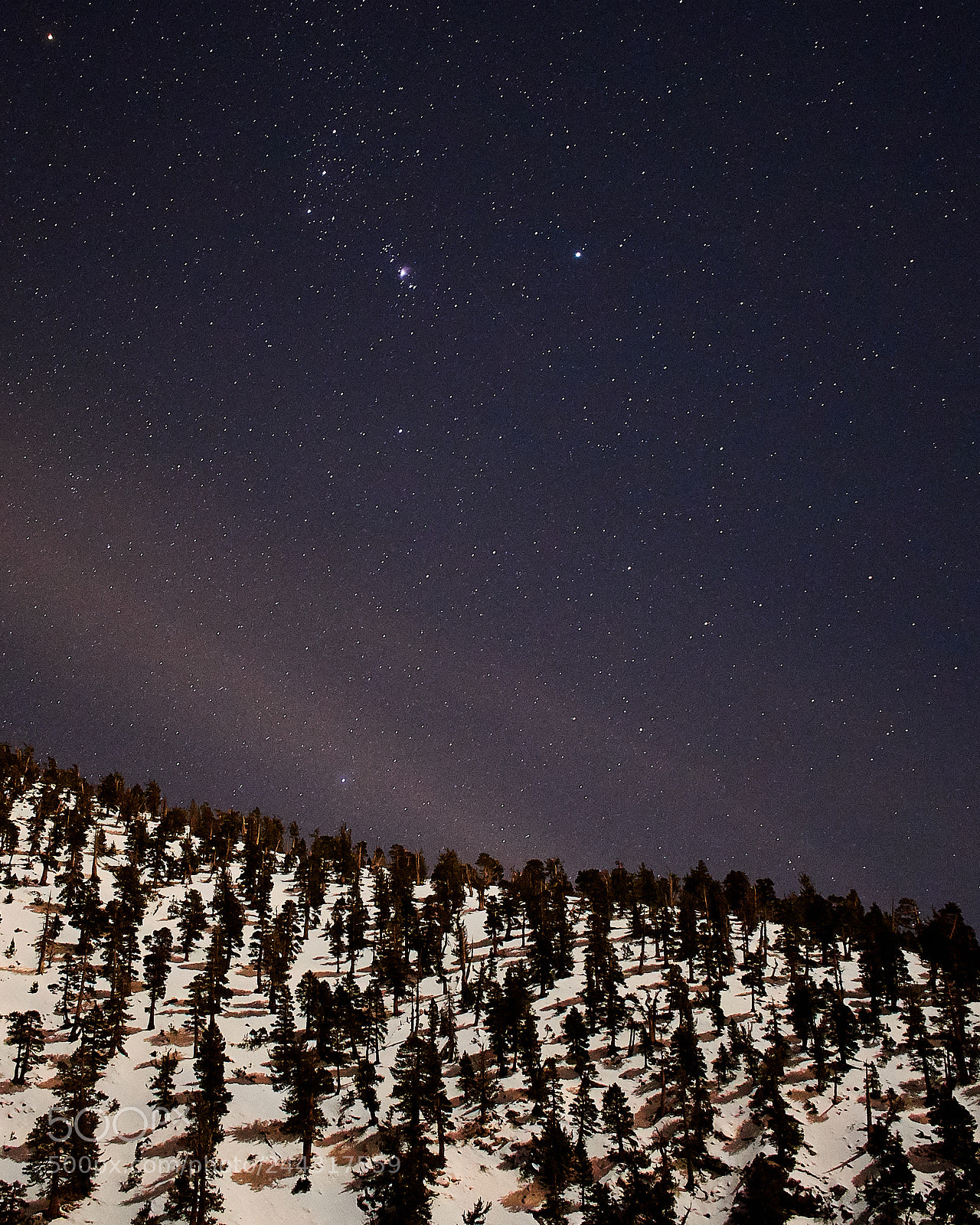Nikon D3400 sample photo. Night wilderness photography