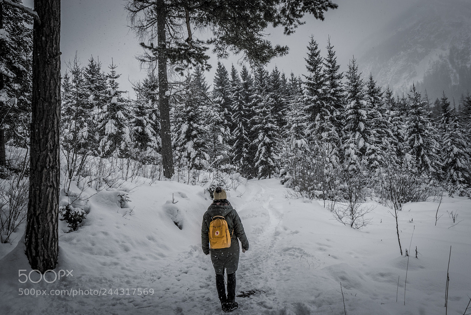 Nikon D3000 sample photo. Austrian alps photography