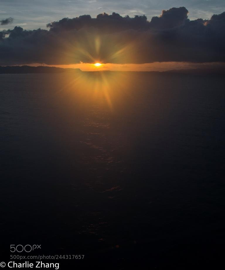 Canon EOS-1D X sample photo. Untitled photography