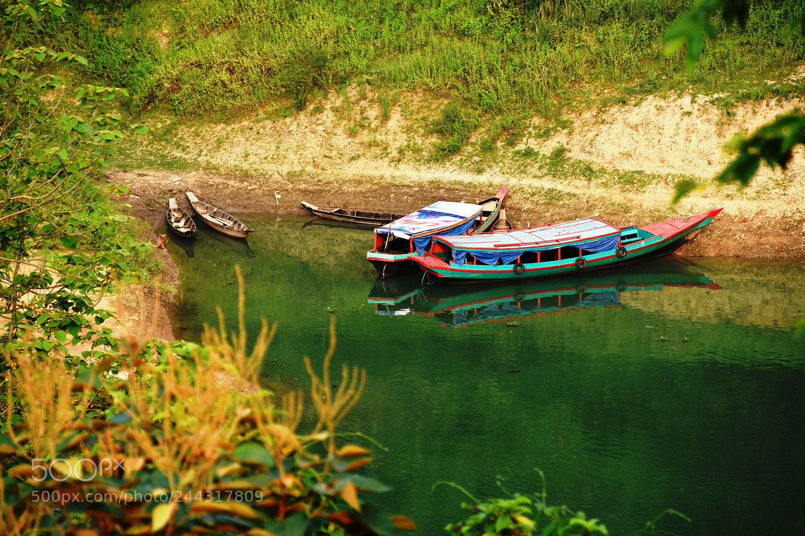 Nikon D7200 sample photo. Natural beauty of bangladesh photography