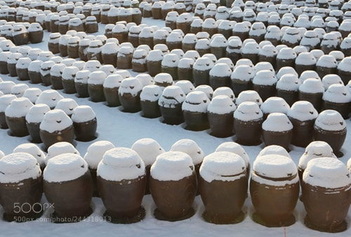 Canon EF 24-70mm F2.8L USM sample photo. Korean urn photography