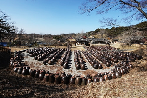 Canon EF 16-35mm F2.8L II USM sample photo. Korean urn photography