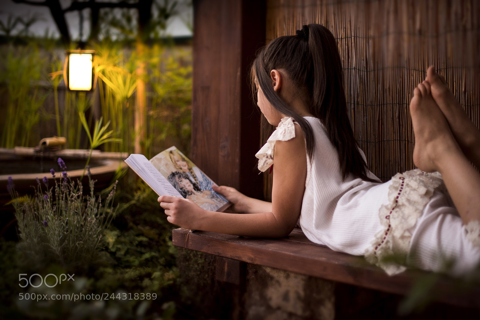 Nikon D610 sample photo. Reader photography