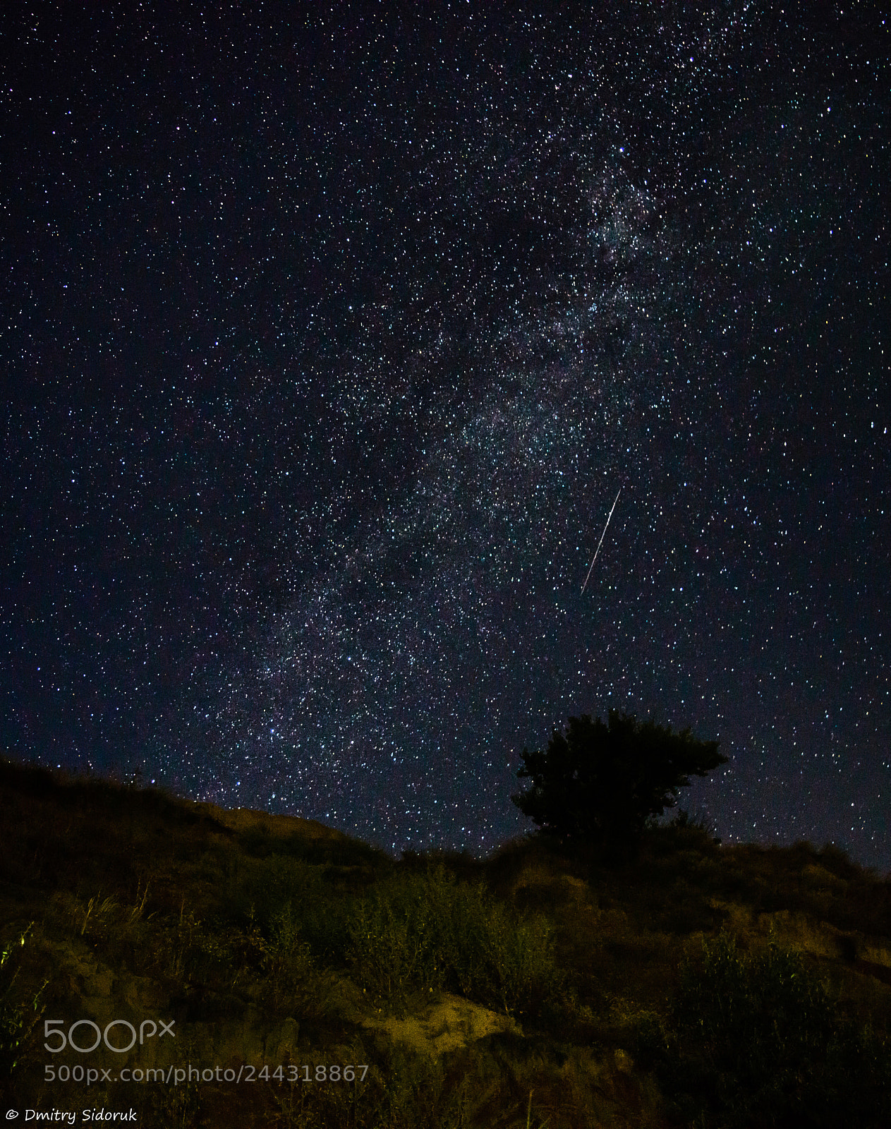 Nikon D3200 sample photo. The beauty of the photography