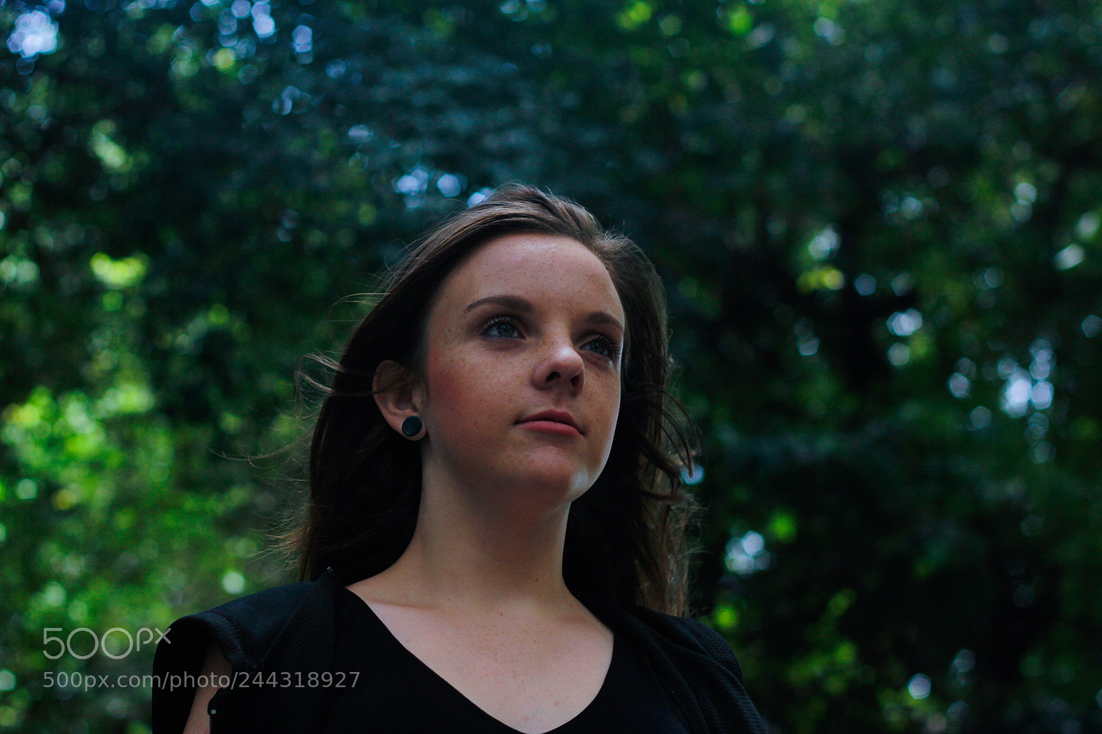 Canon EOS 60D sample photo. Mg photography