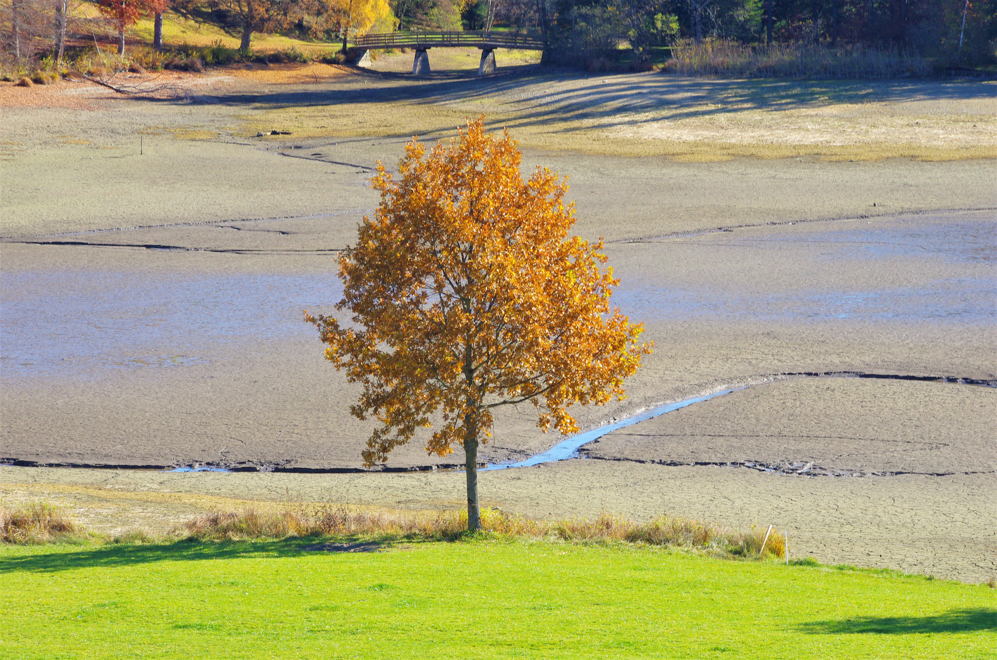 Pentax K-5 sample photo. Schwaltenweiher photography