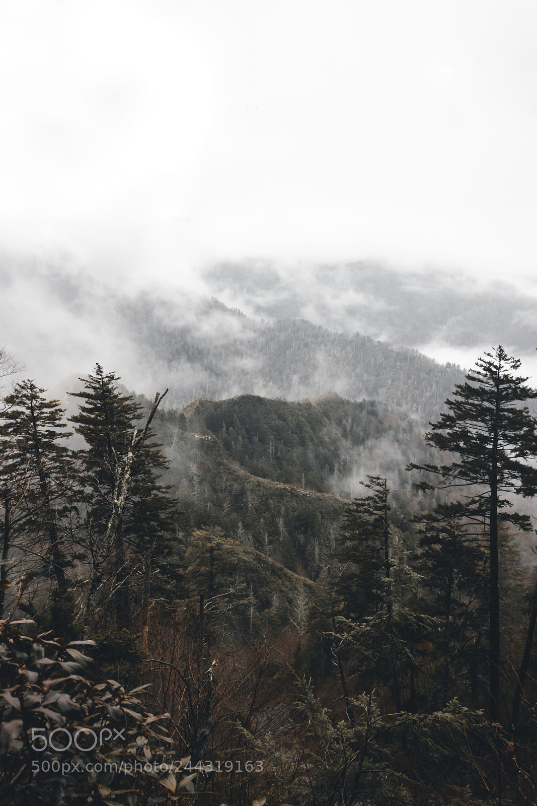Canon EOS 750D (EOS Rebel T6i / EOS Kiss X8i) sample photo. Foggy layers photography