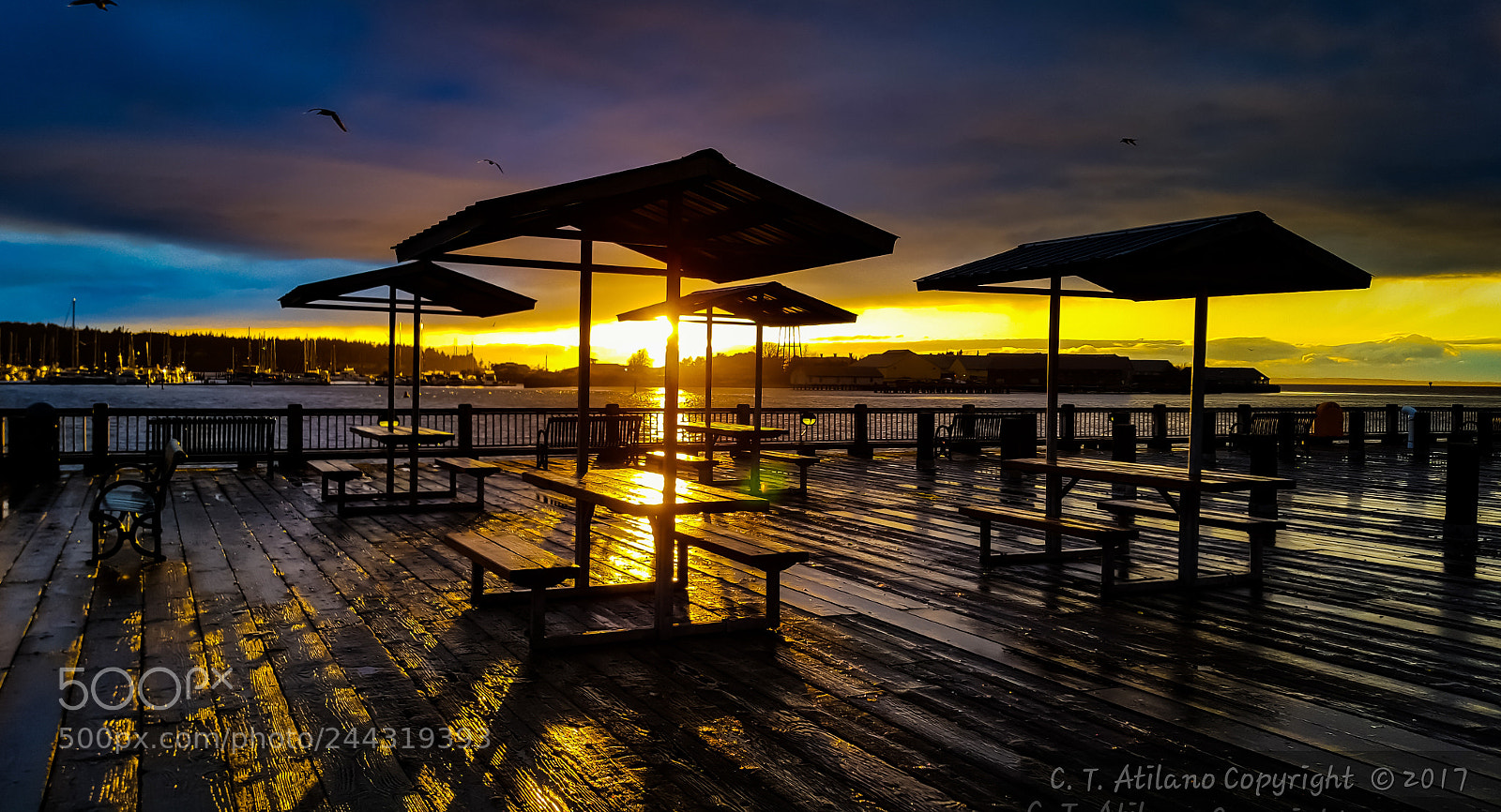 Samsung GALAXY S6 edge sample photo. Blaine marina pier photography