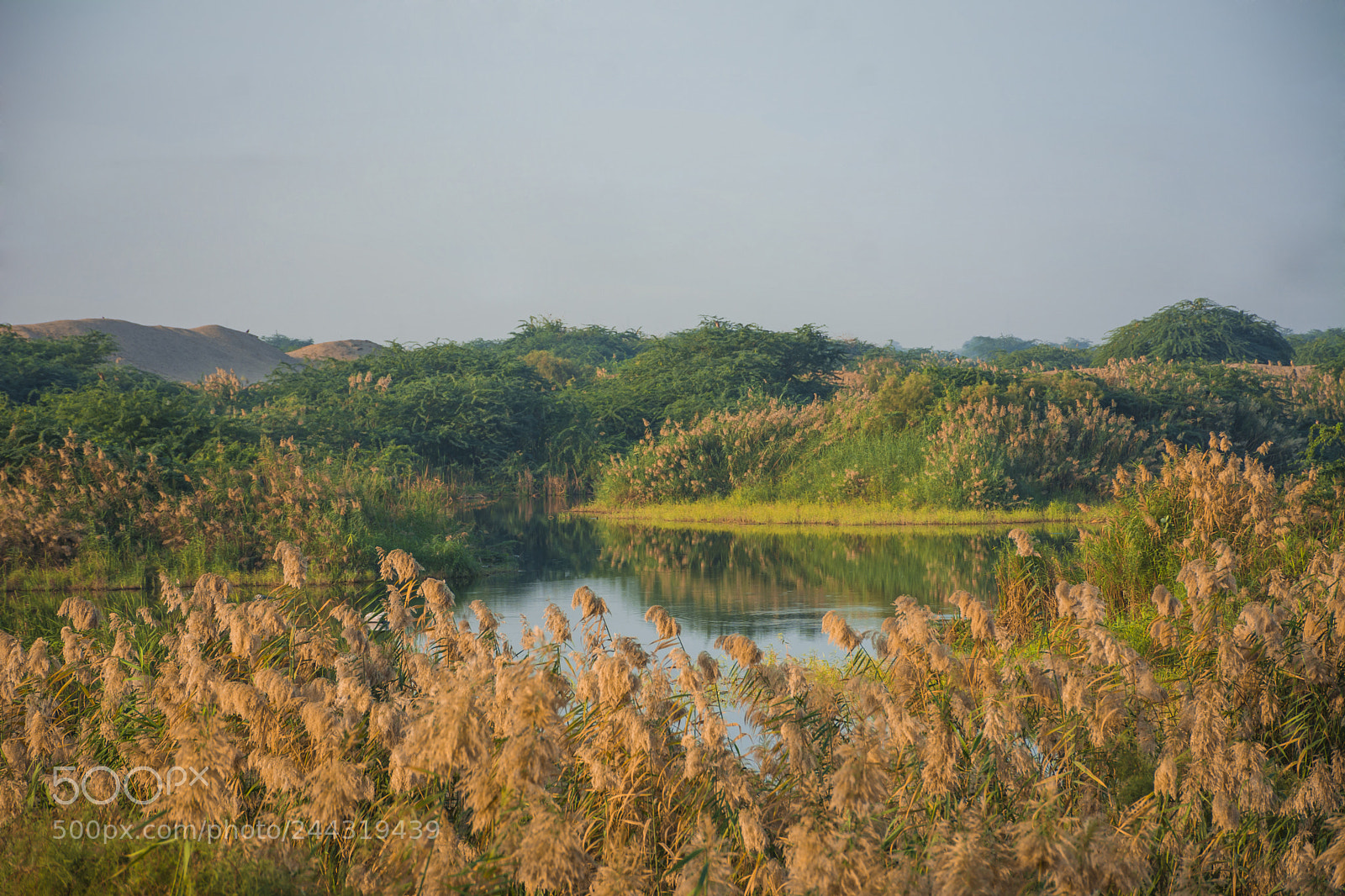 Nikon D7100 sample photo. Lake photography