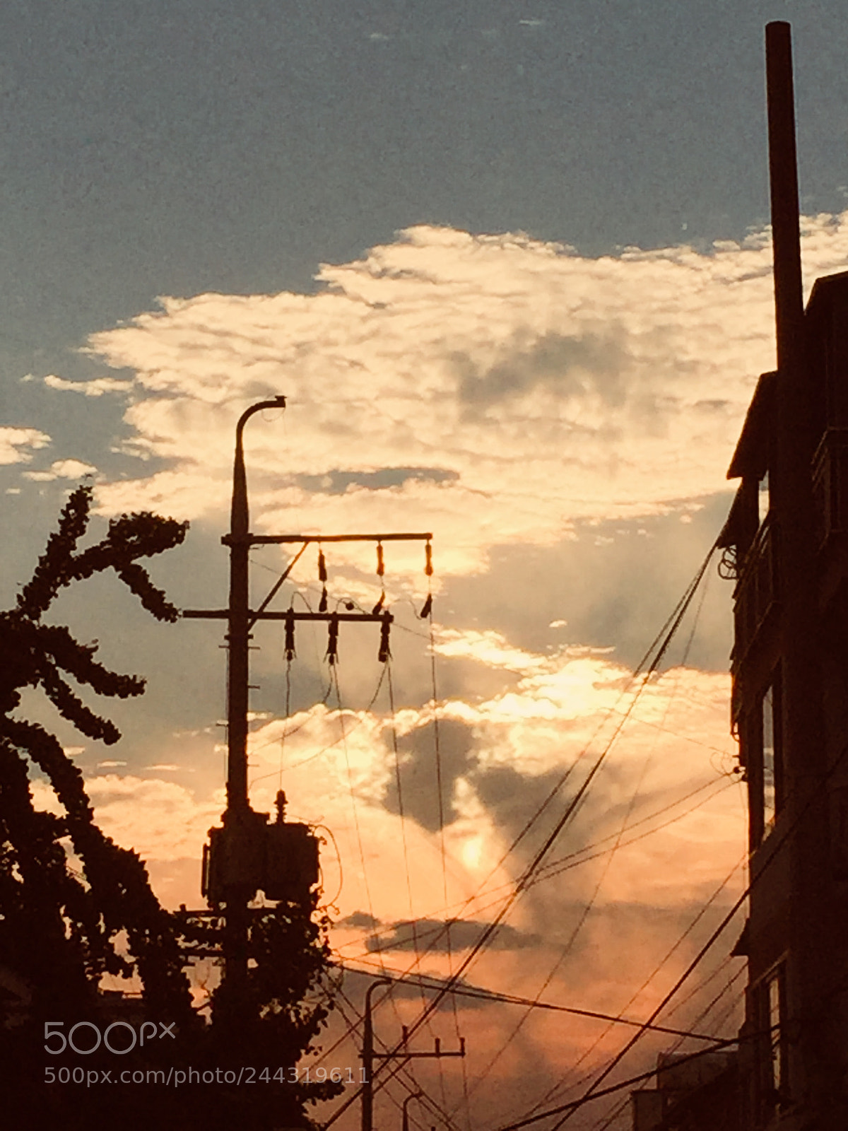 Apple iPhone 6 sample photo. Fleeting moments photography