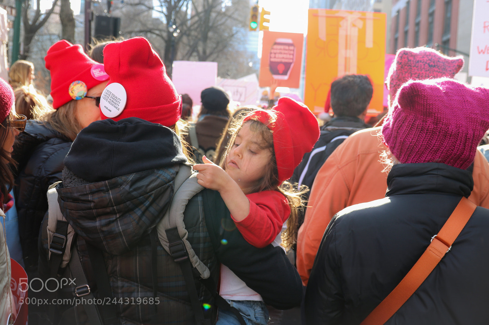 Canon EOS 750D (EOS Rebel T6i / EOS Kiss X8i) sample photo. Red photography