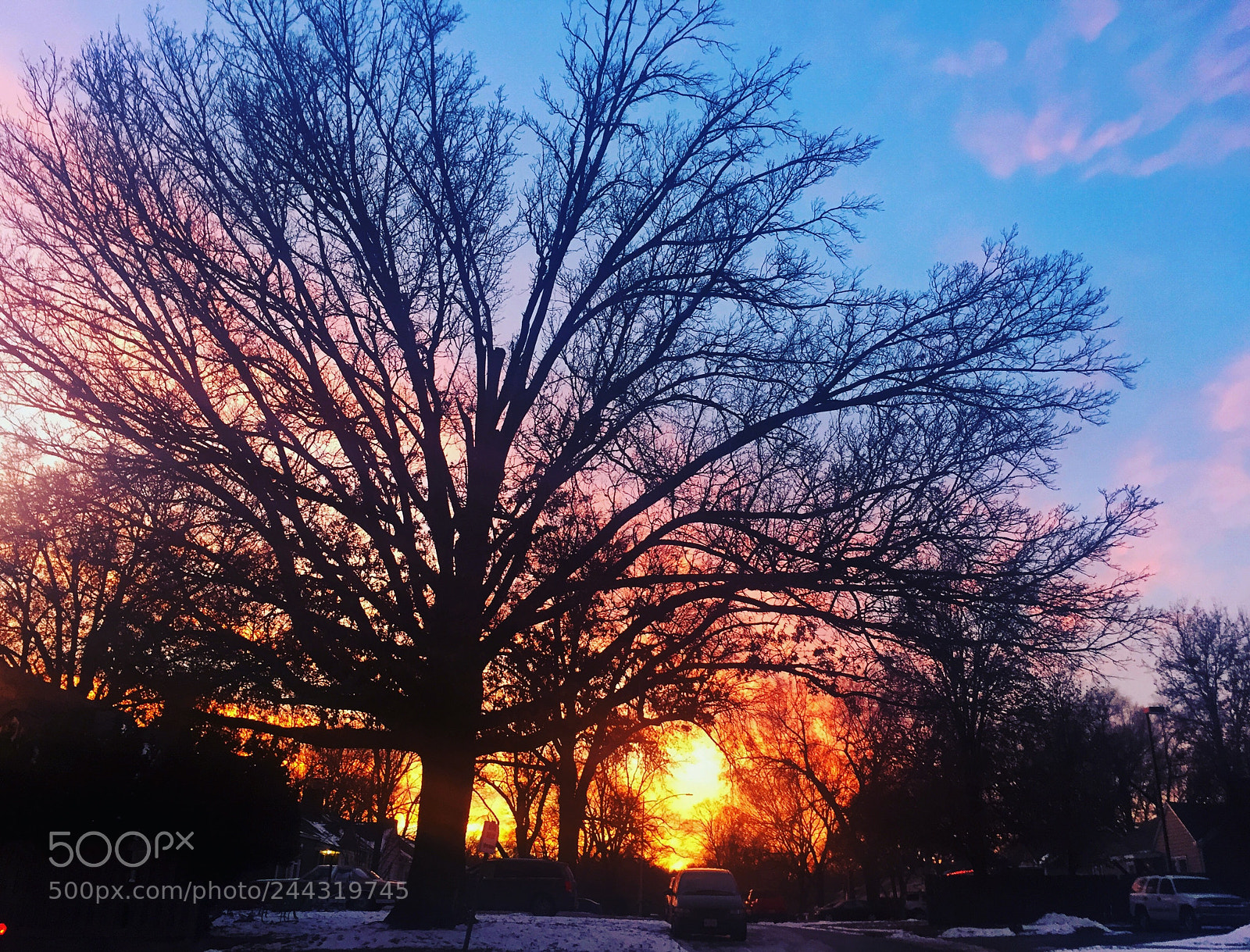 Apple iPhone 6 sample photo. Kansas city photography