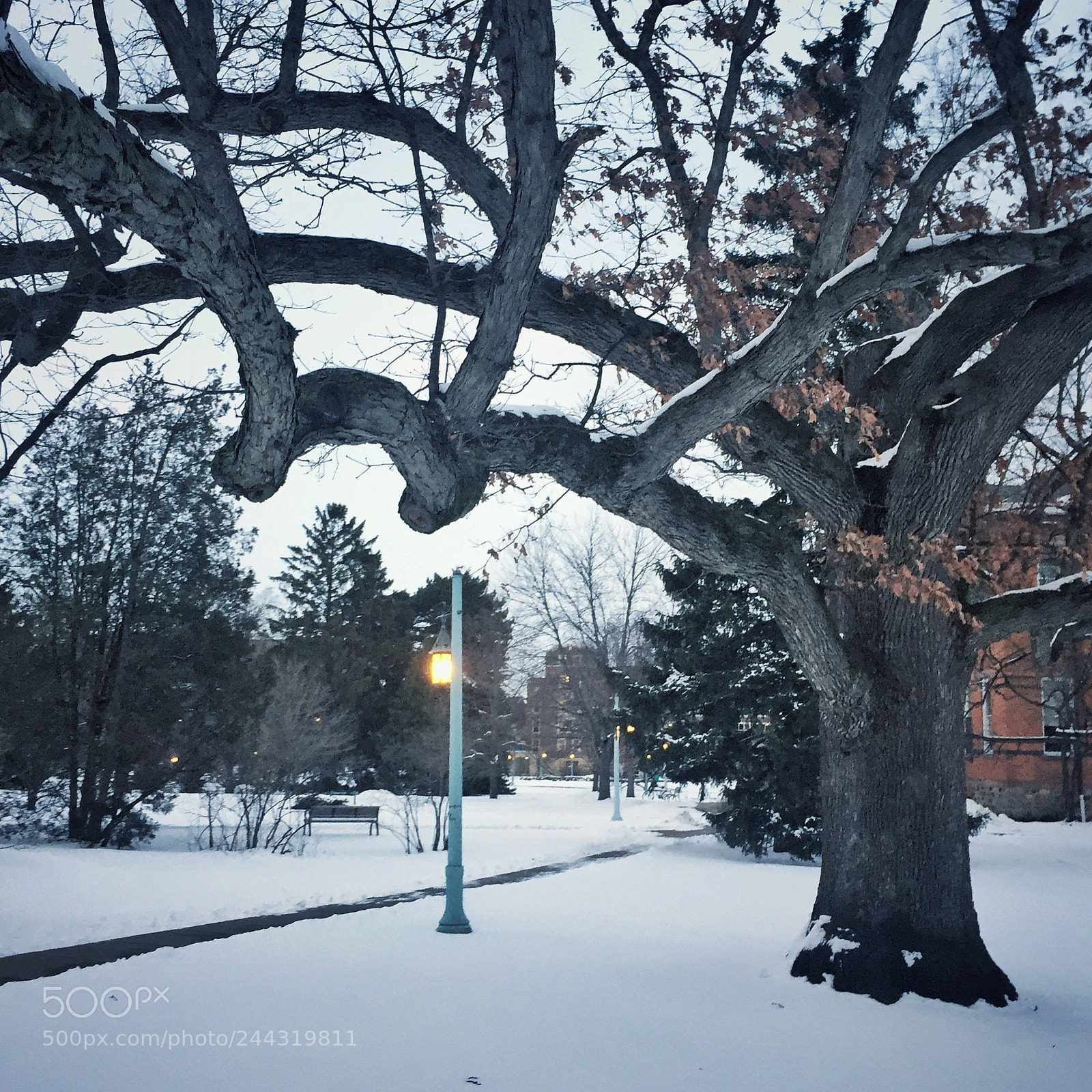 Apple iPhone 6 sample photo. Msu photography