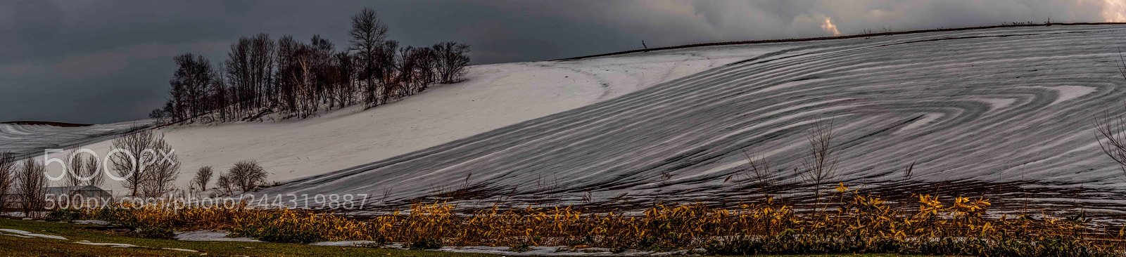 Olympus OM-D E-M5 II sample photo. Winter in hokkaido photography