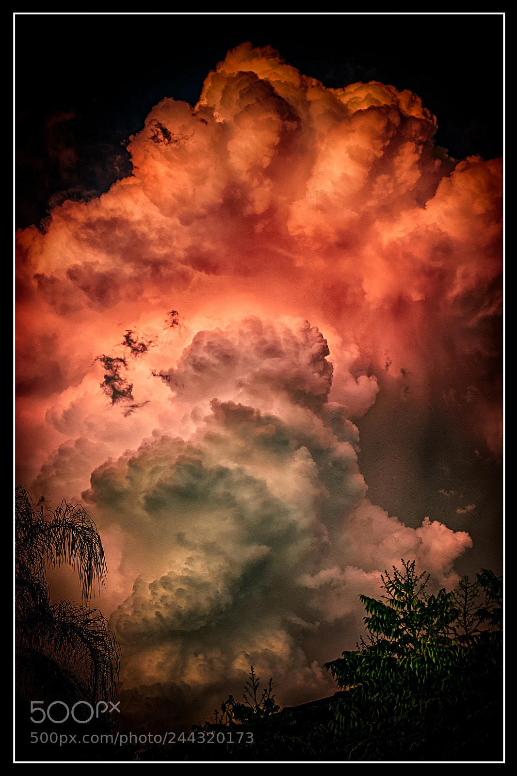 Nikon D600 sample photo. Evening storm photography