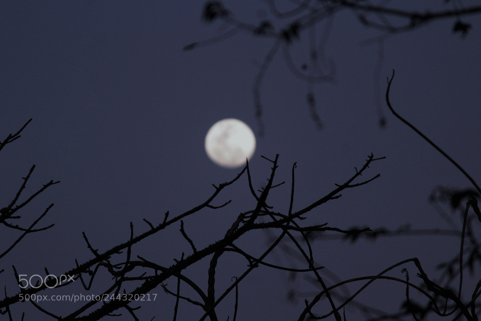 Canon EOS 1200D (EOS Rebel T5 / EOS Kiss X70 / EOS Hi) sample photo. Moon light photography