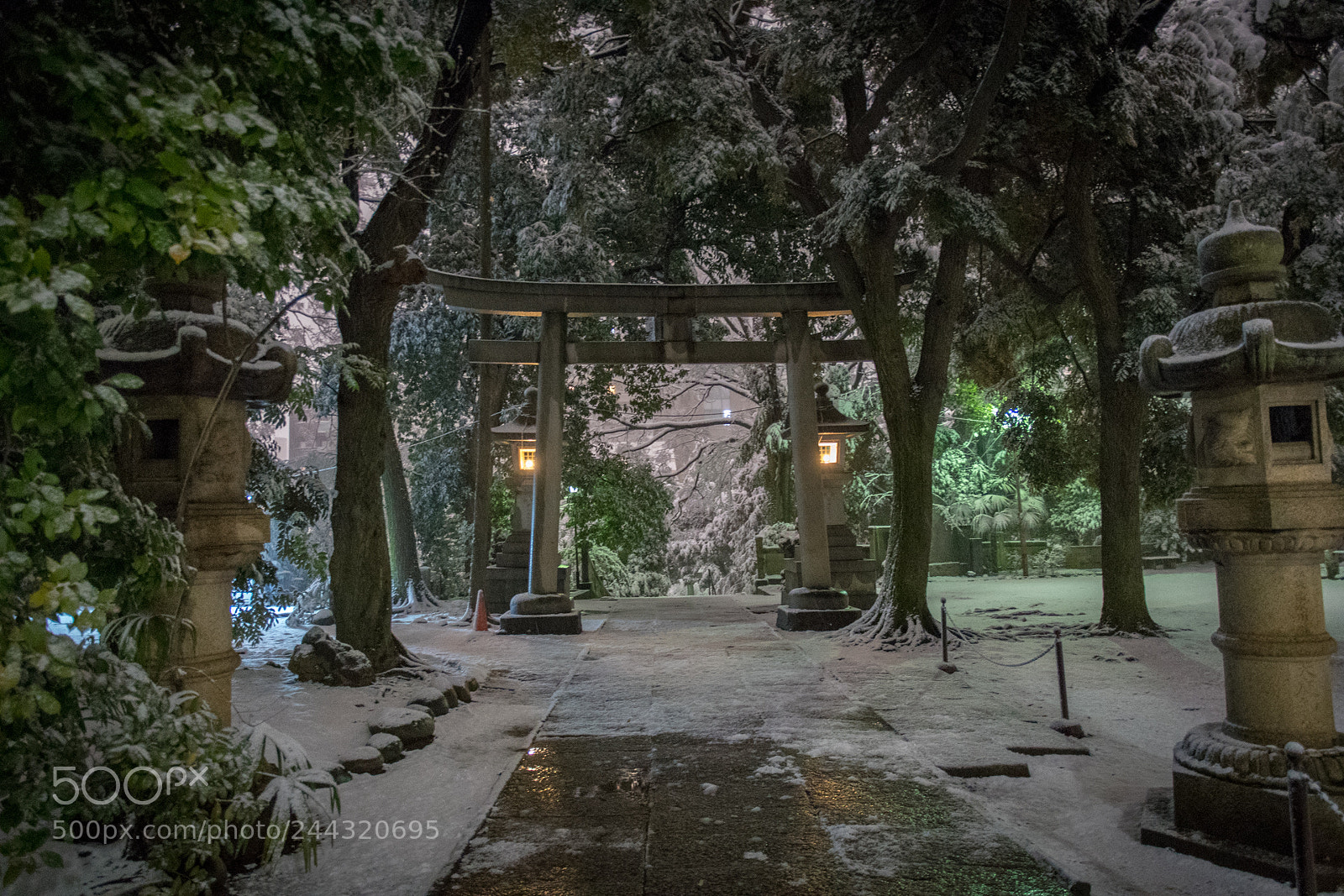 Nikon D500 sample photo. Tokyo blizzard photography