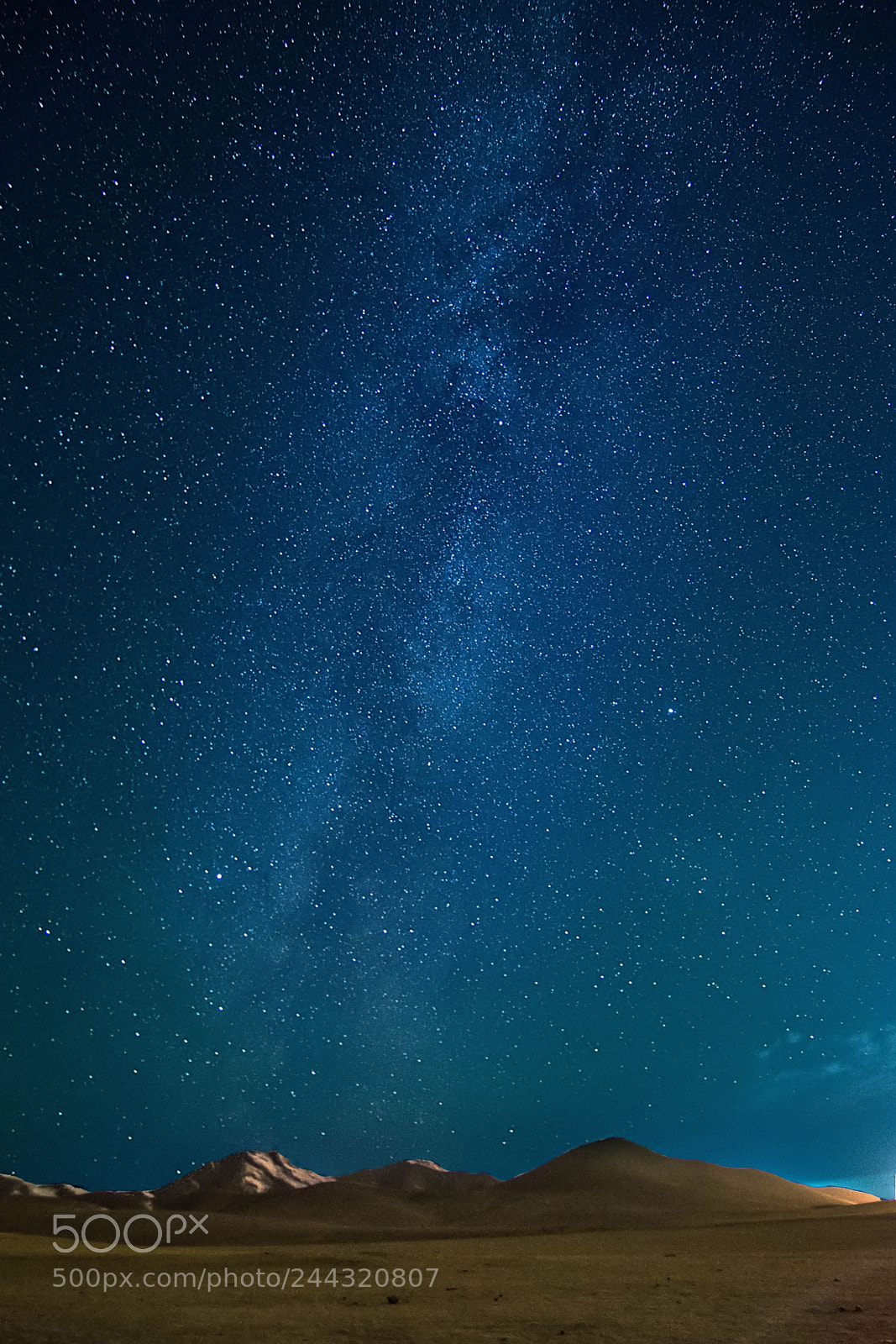 Nikon D7200 sample photo. Milkyway in mongolia photography