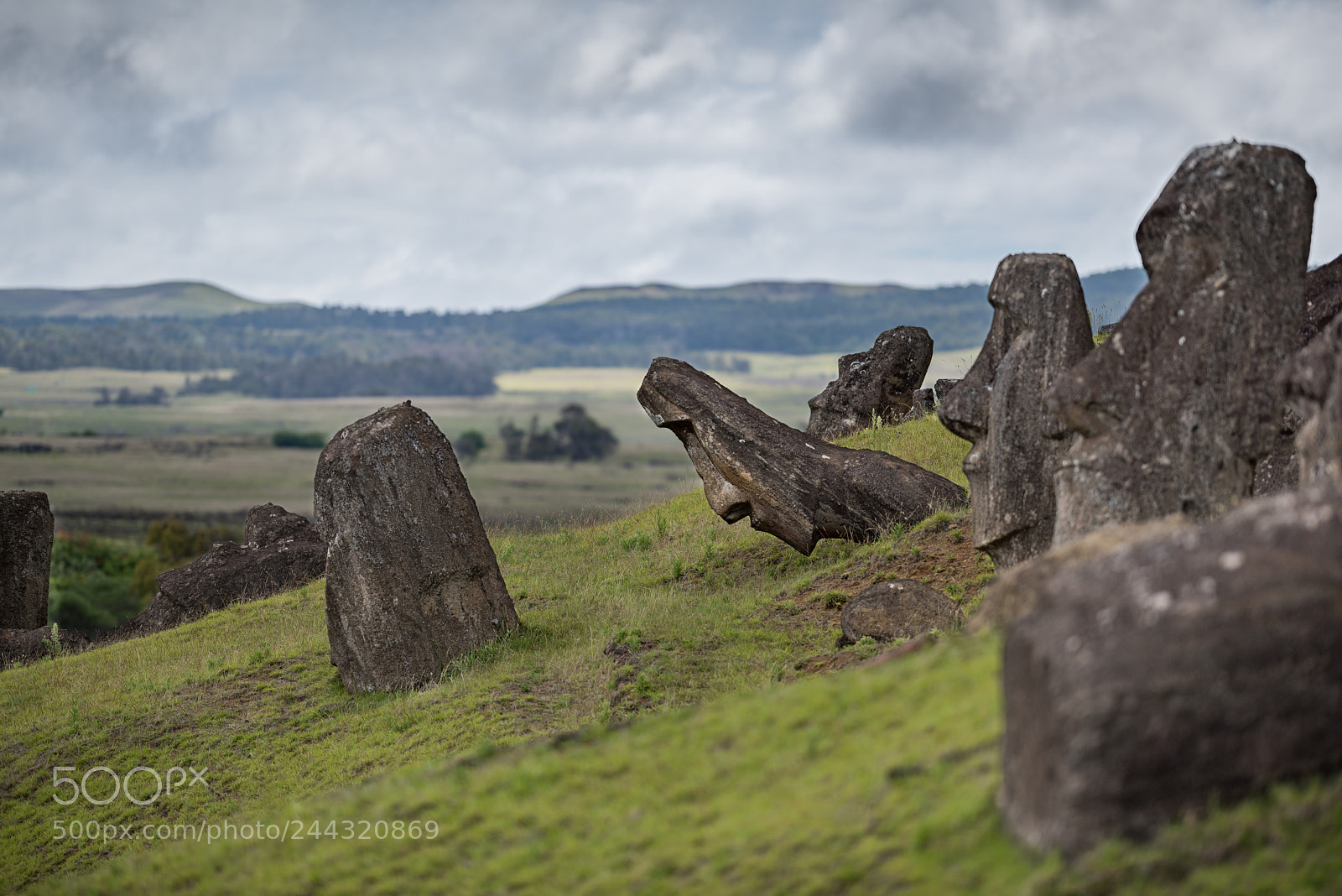 Nikon D810 sample photo. Rapanui photography