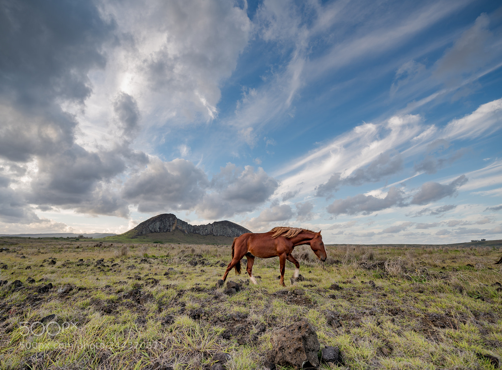 Nikon D810 sample photo. Rapanui photography