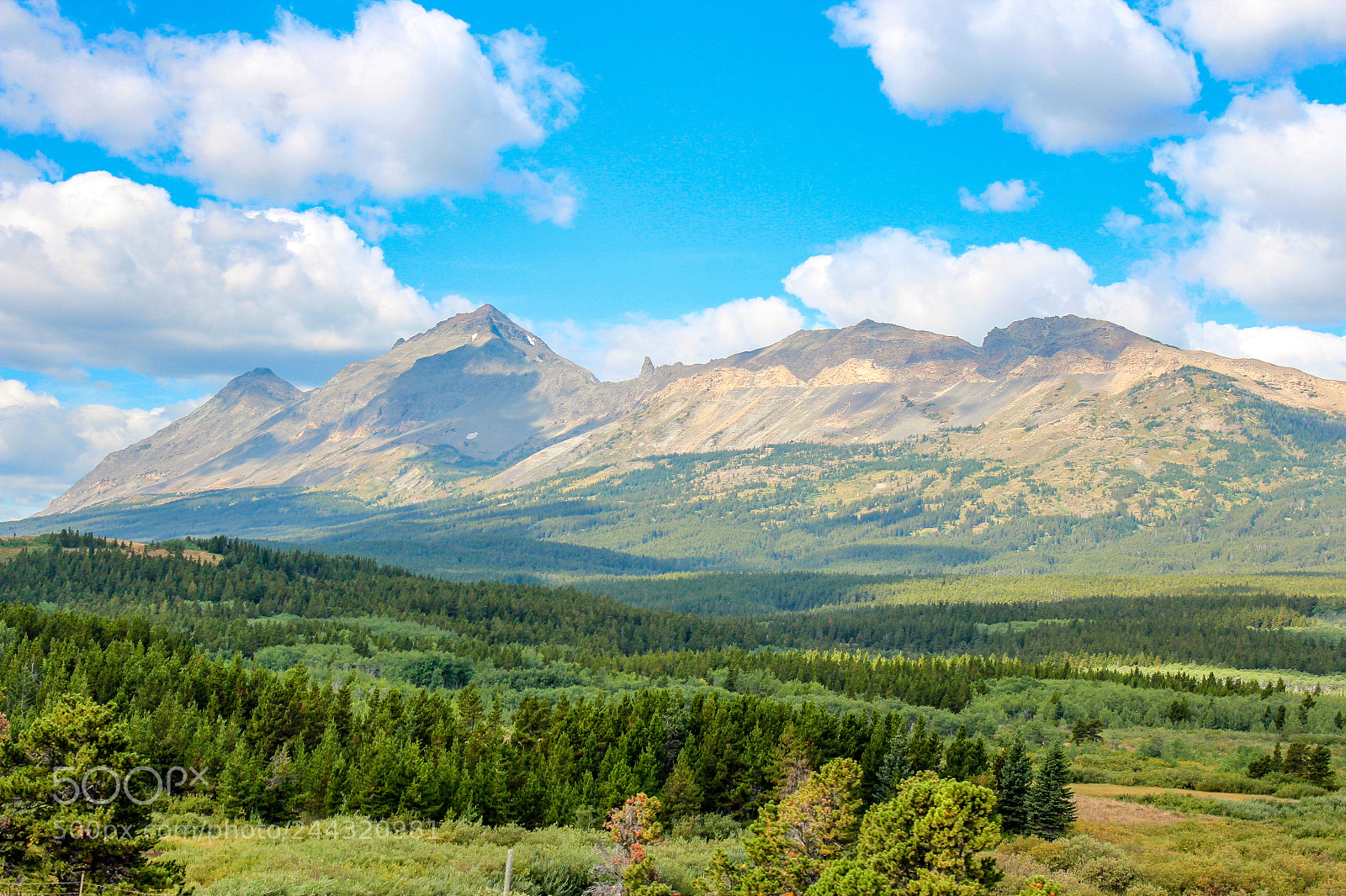 Canon EOS 600D (Rebel EOS T3i / EOS Kiss X5) sample photo. Majestic montana photography