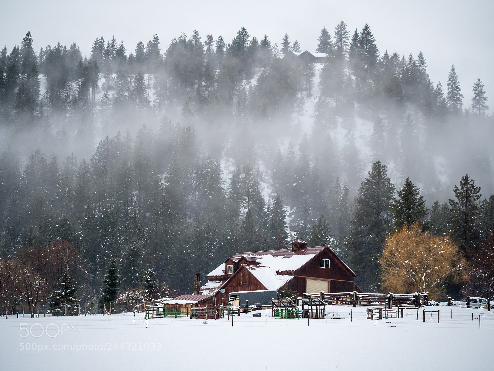 Olympus OM-D E-M5 II sample photo. Misted morning photography