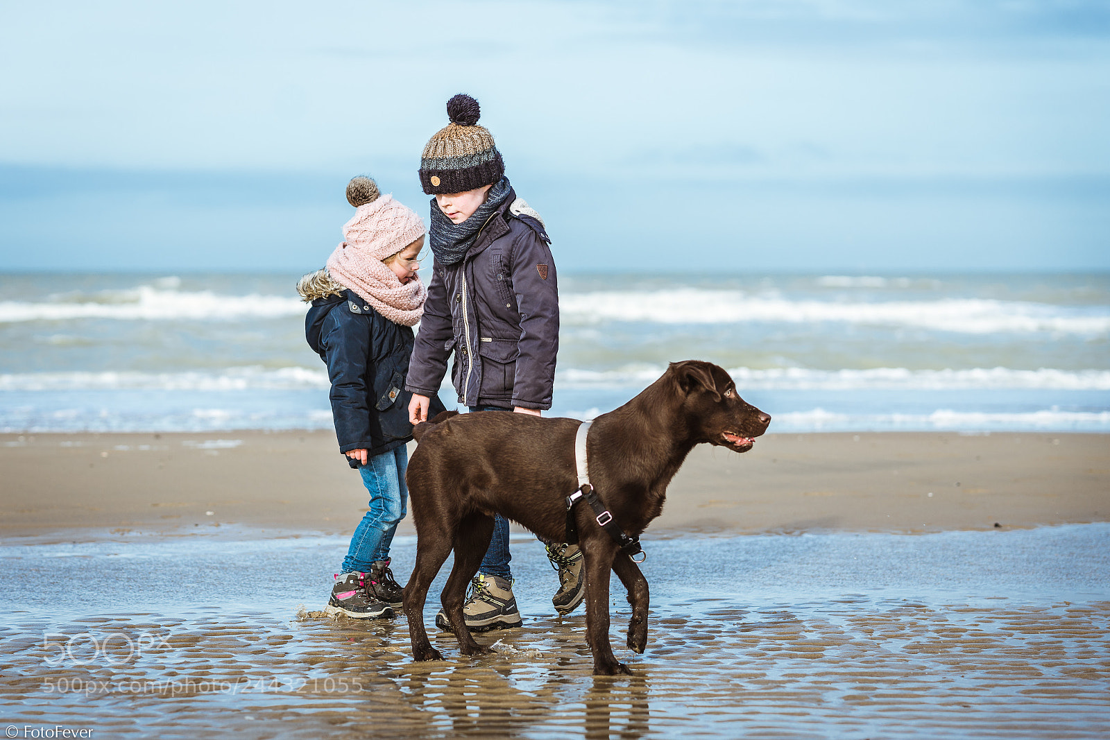 Sony a7R III sample photo. 8 wet feet photography