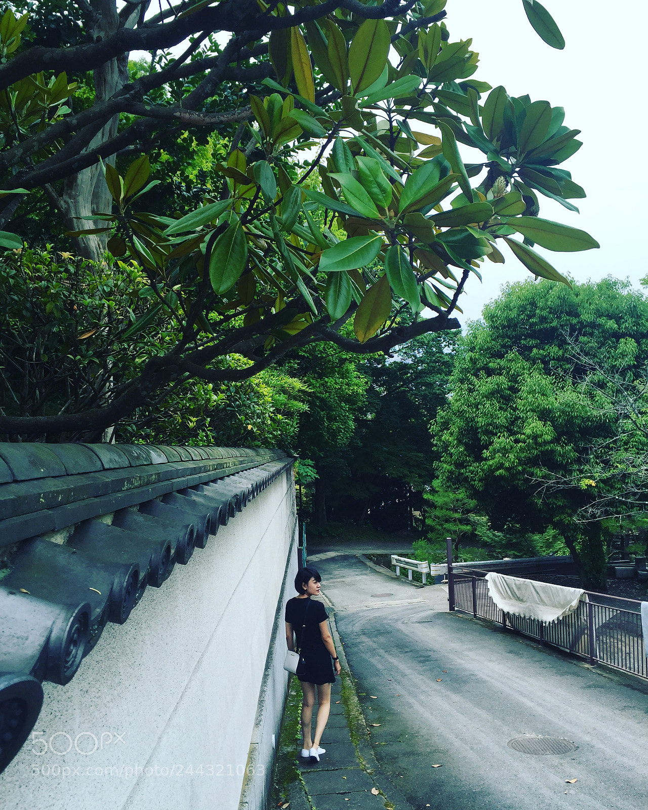 Apple iPhone 6 sample photo. Koyto photography