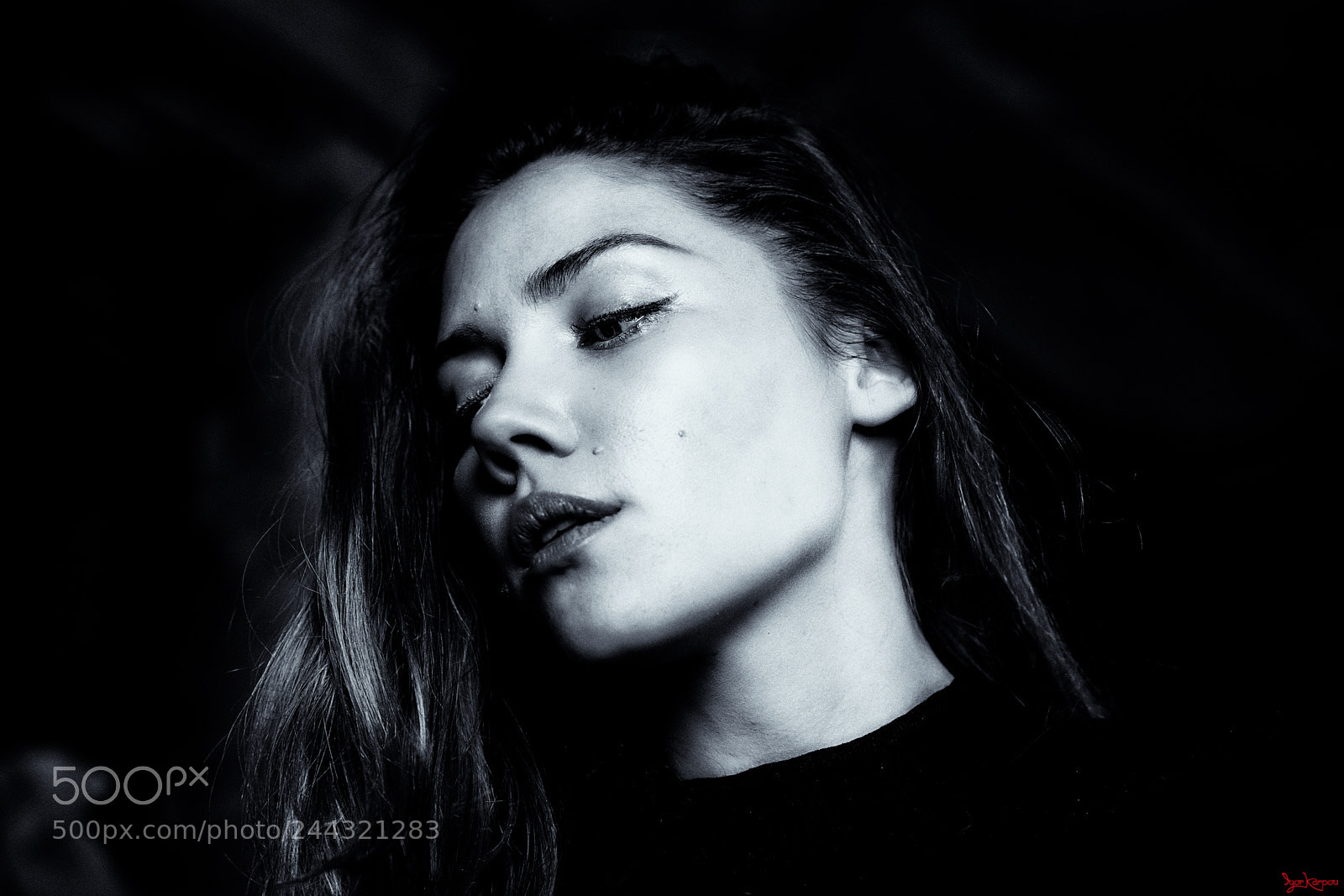Nikon D850 sample photo. Point of view photography