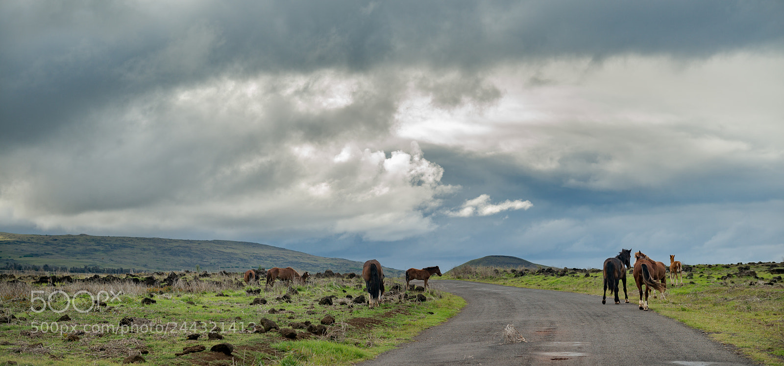 Leica M (Typ 240) sample photo. Paisaje photography
