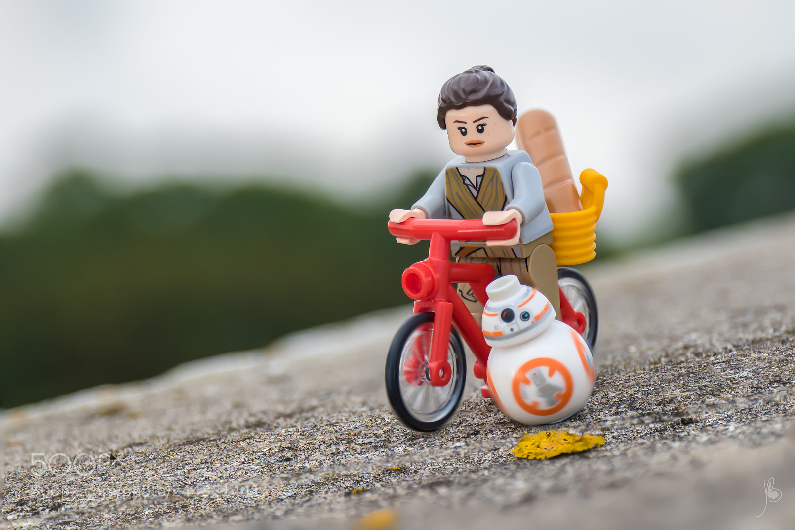 Canon EOS 7D Mark II sample photo. Rey and bb-8 photography