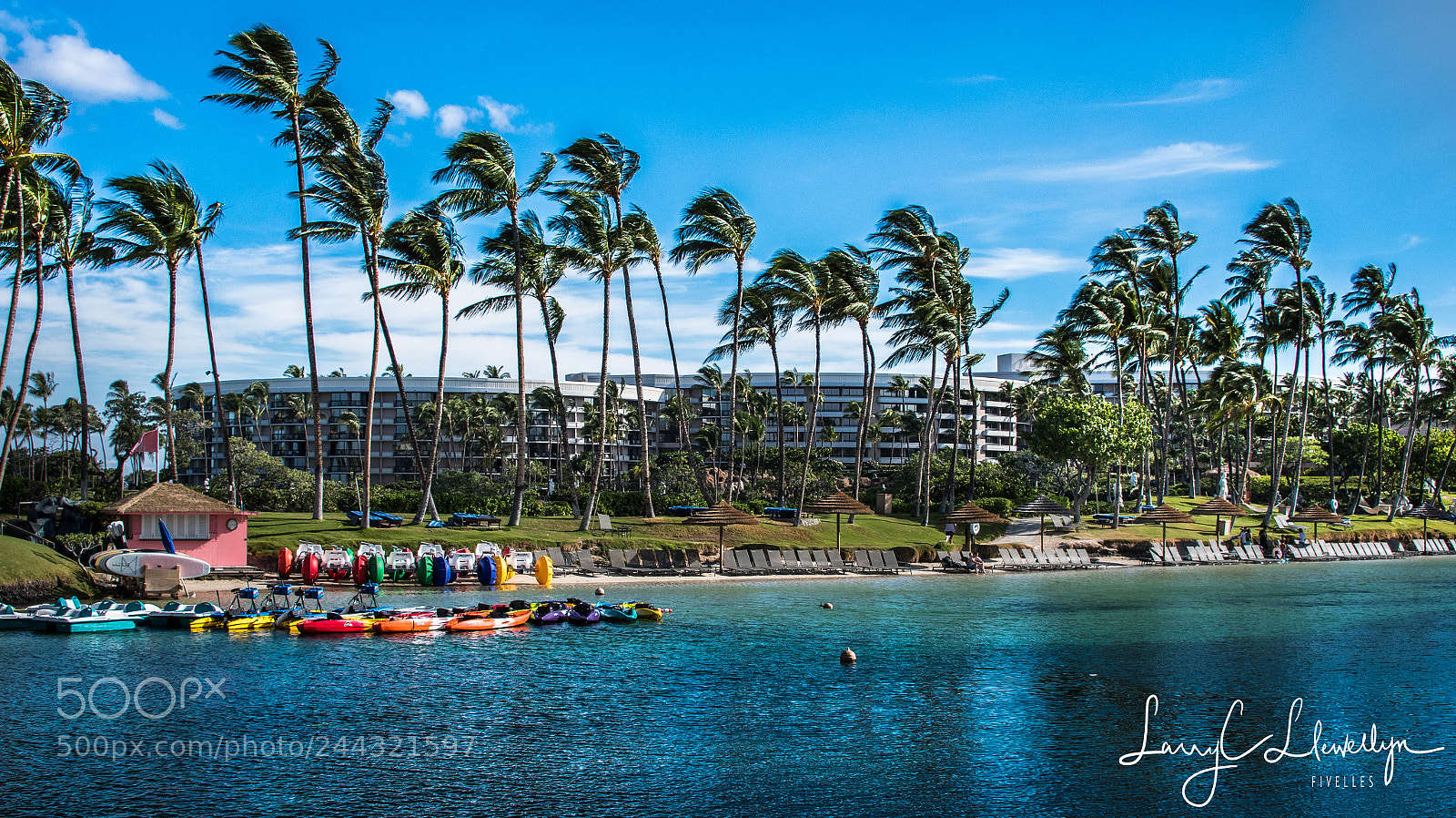 Nikon D7500 sample photo. Hawaii aug to photography