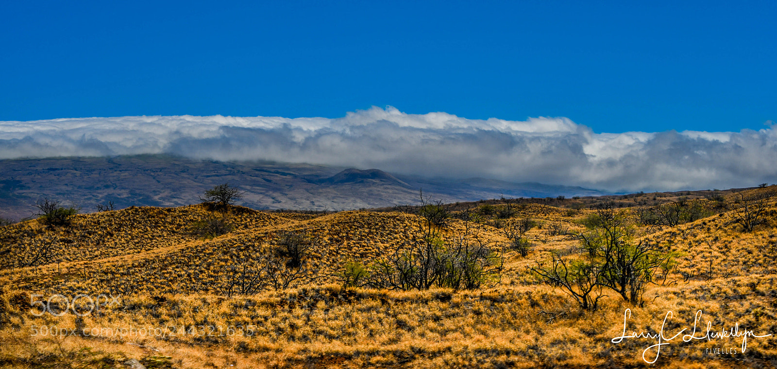 Nikon D7500 sample photo. Hawaii aug to photography