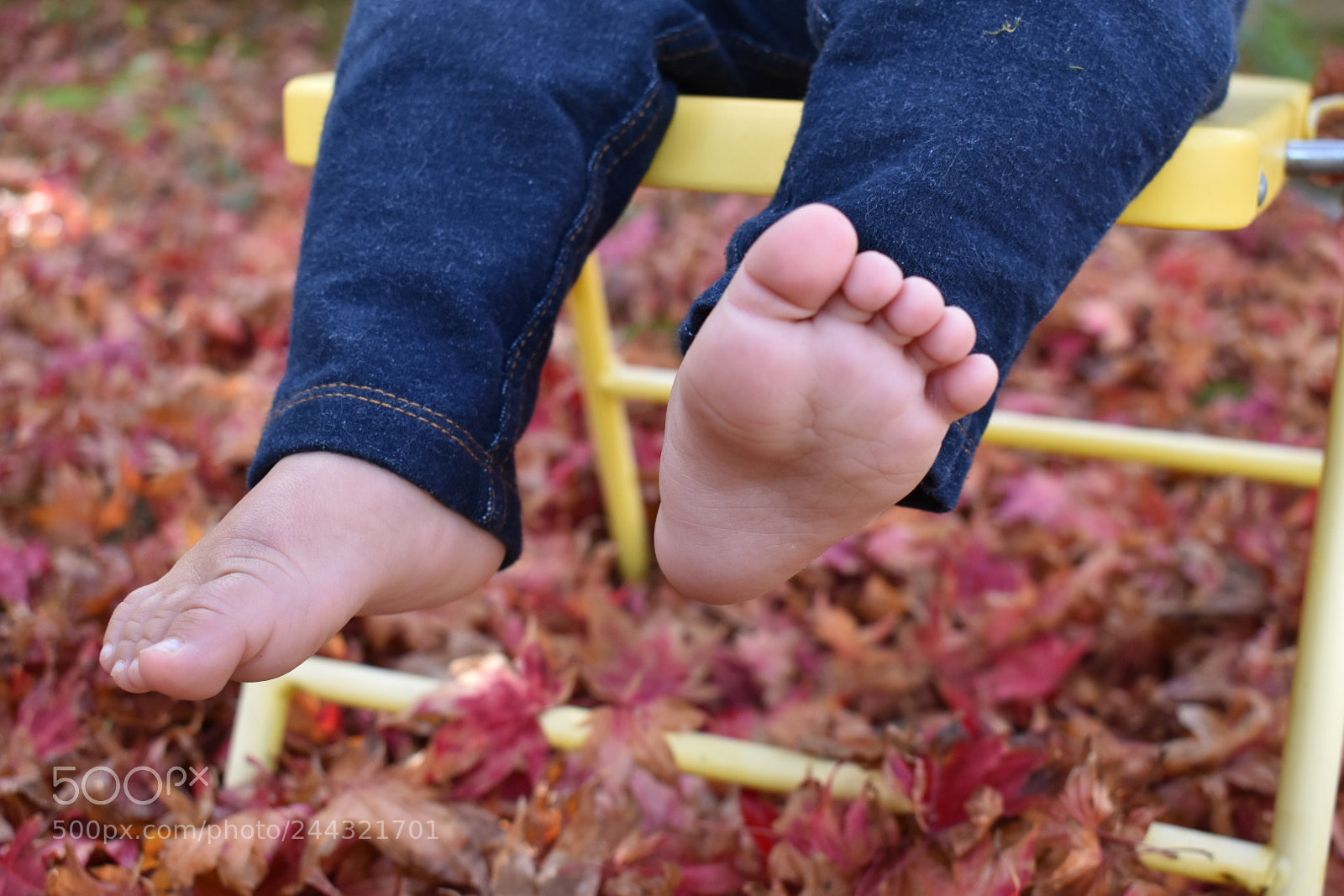 Nikon D5600 sample photo. Growing photography