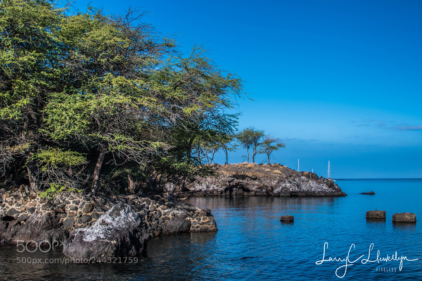 Nikon D7500 sample photo. Hawaii aug to photography