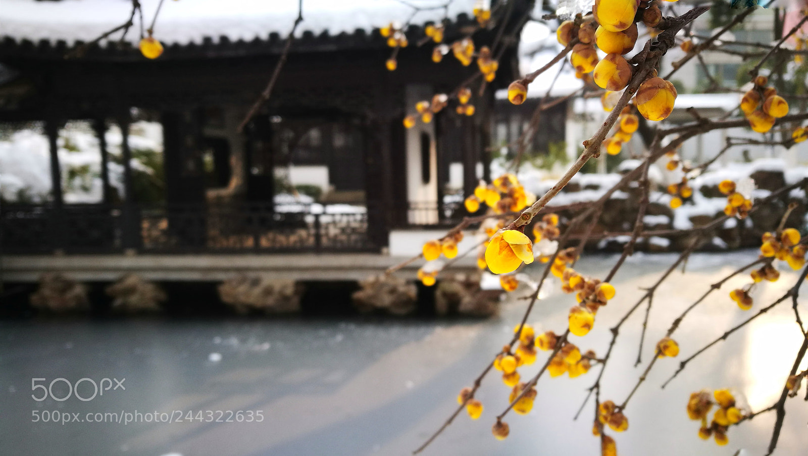 HUAWEI P9 sample photo. Untitled photography