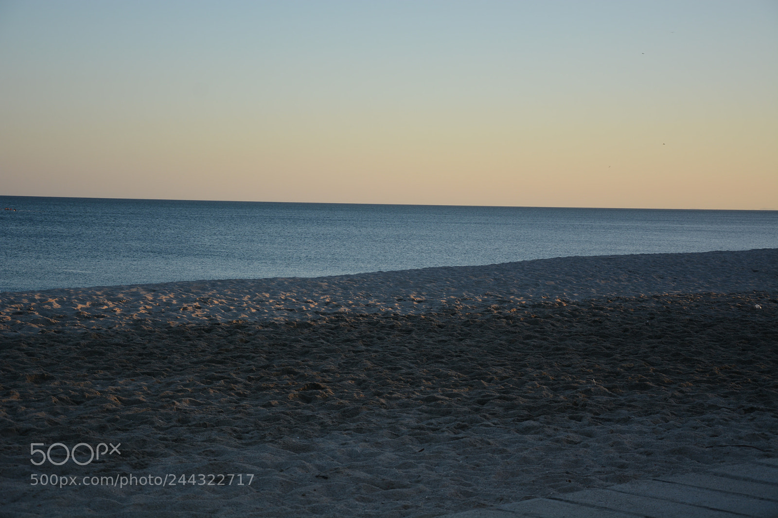 Nikon D7100 sample photo. Untitled photography