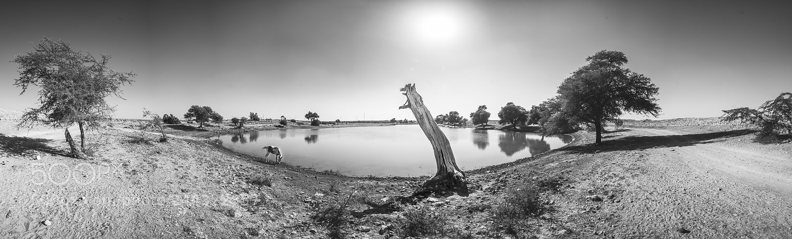 Sony a7S sample photo. Desert lake photography