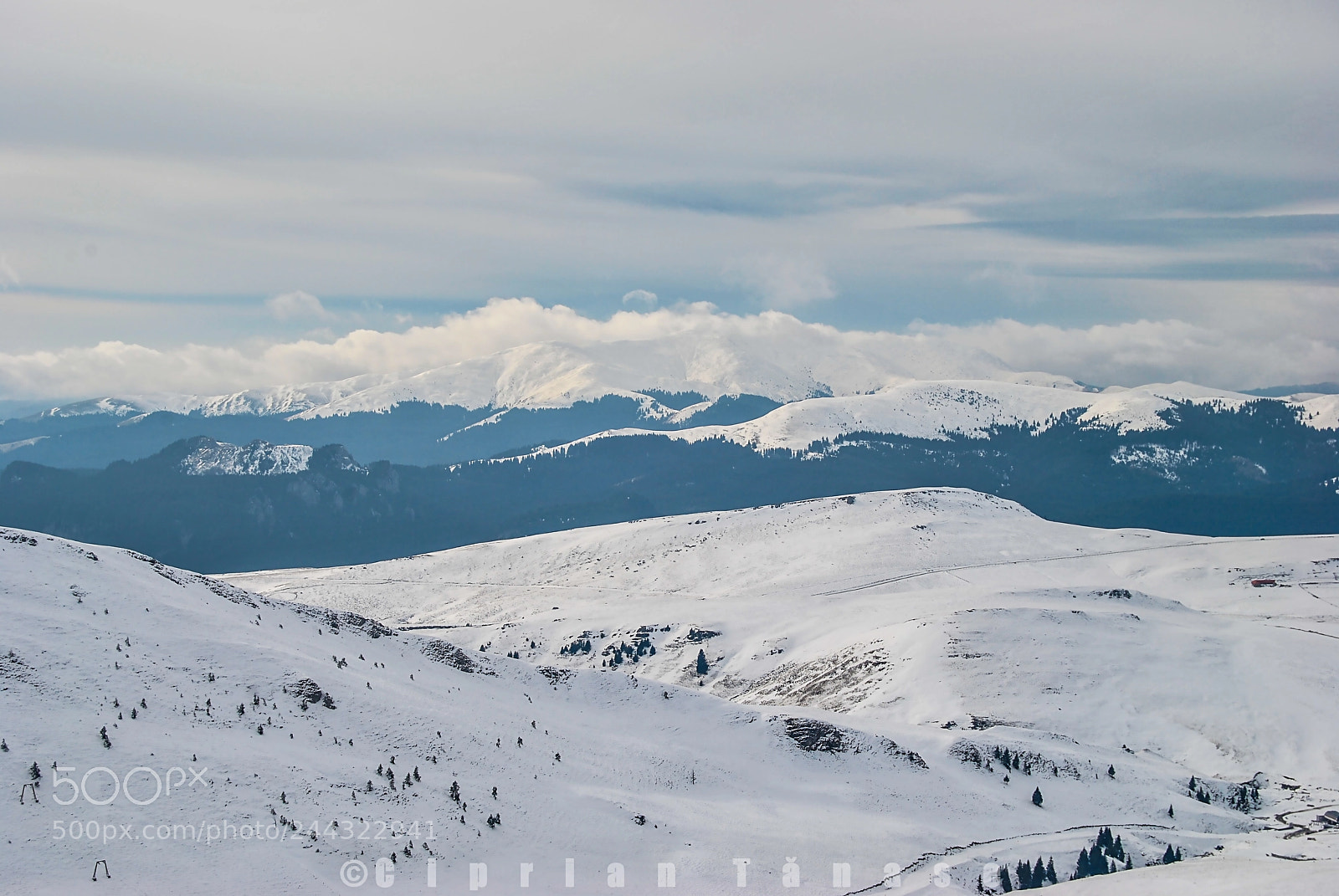 Nikon D3000 sample photo. Hibernal photography
