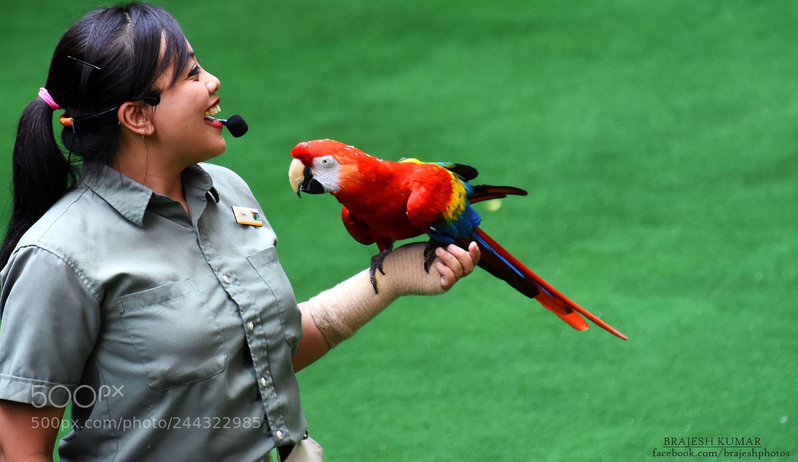 Nikon D7200 sample photo. Birdtrainer photography