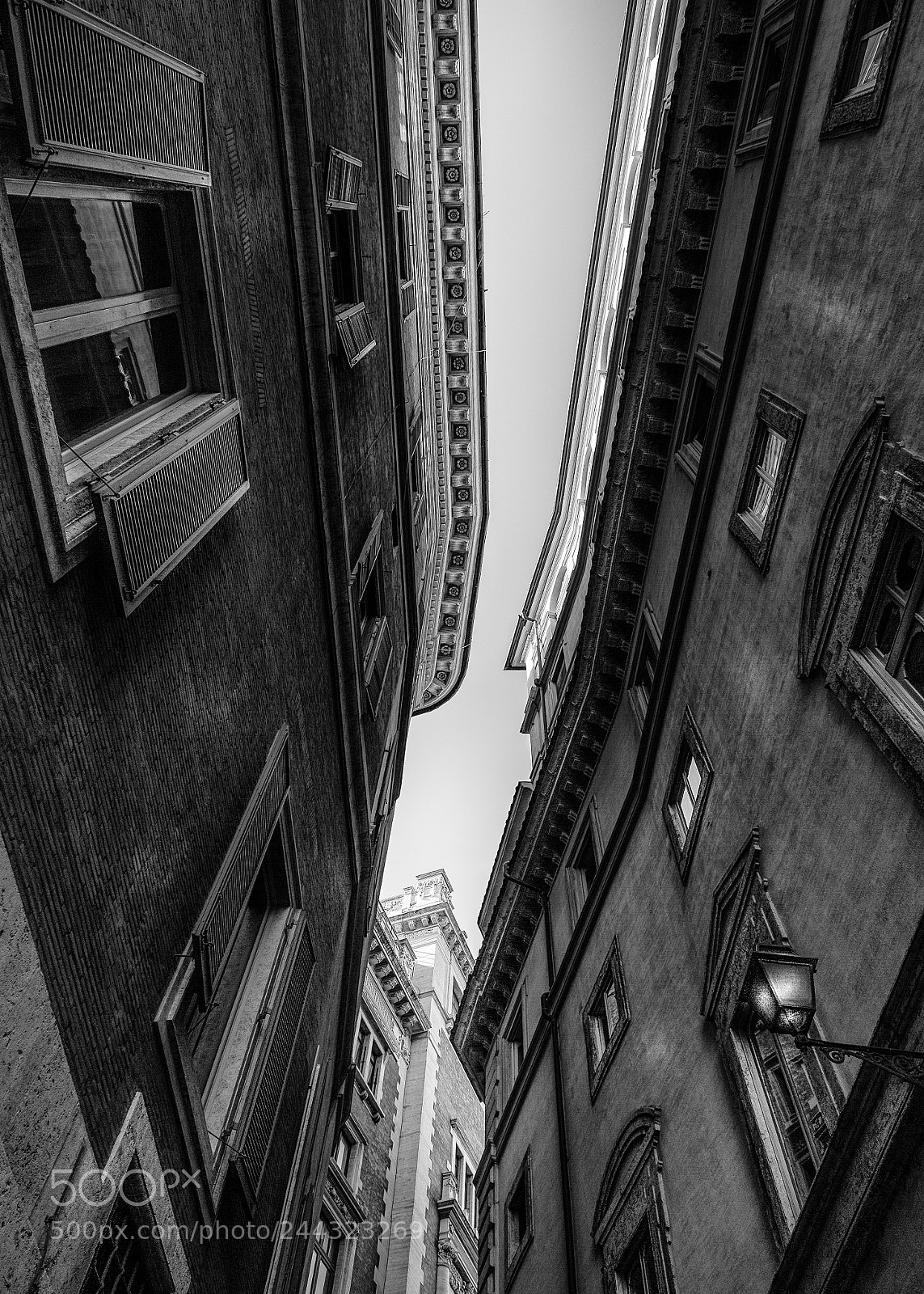 Nikon D4S sample photo. In deep rome photography