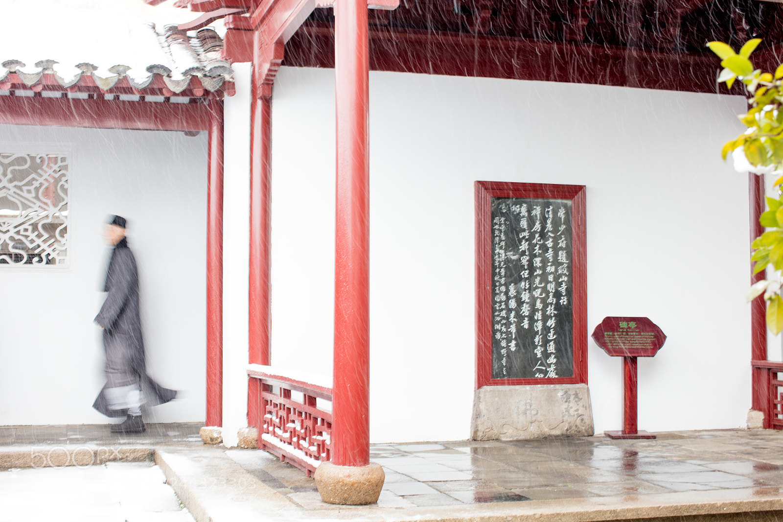 Canon EOS 5DS R sample photo. Untitled photography