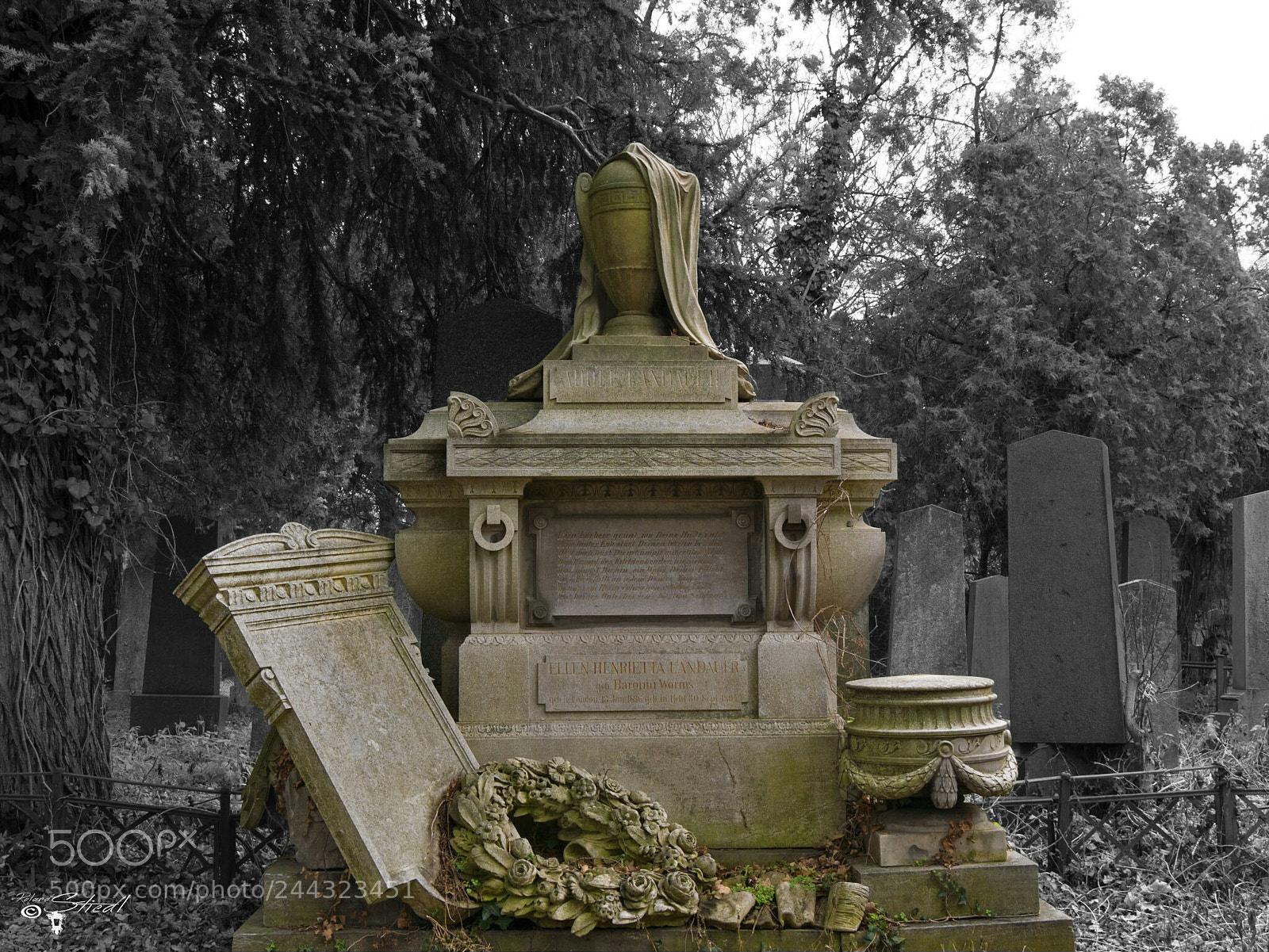 Panasonic DMC-G81 sample photo. Cemetery photography
